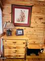 2527 Raccoon Hollow Way - Photo 32