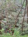 0 Rivendell Lane - Photo 15