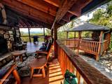 1902 Bluff Ridge Road - Photo 44