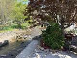 4229 Parkway #174 - Photo 10