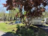 4229 Parkway #137 - Photo 5