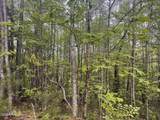 Lot 41 Black Maple Way - Photo 24