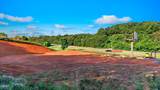 505 Highway 92 - Photo 8