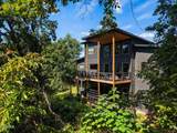 1870 Mountain Ash Way - Photo 63