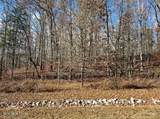 Lot 137 E. Shore Drive - Photo 2