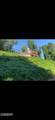 230 Silverbell Lane - Photo 30