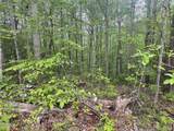 Lot 41 Black Maple Way - Photo 18