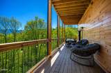 1276 Bavarian Way - Photo 5