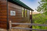2633 Raccoon Hollow Way - Photo 7