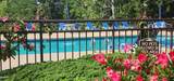 1704 Hidden Hills Road - Photo 10