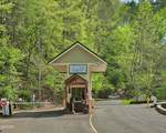 3341 Sugar Maple Loop Road - Photo 70