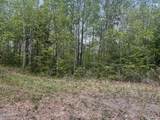 Lot 41 Black Maple Way - Photo 5
