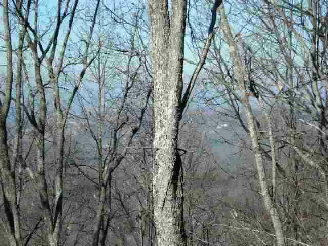 LOT 845 Orchard Drive - Photo 1