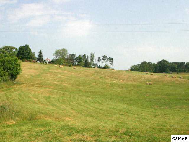 Lot 7 Forgety Road - Photo 1