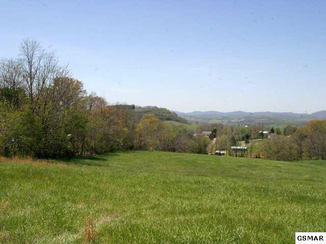 Lot 12 Locust Road - Photo 1