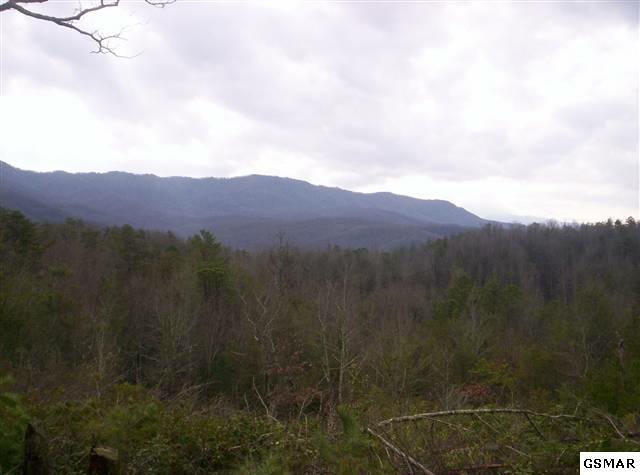 626 Branam Hollow Road - Photo 1