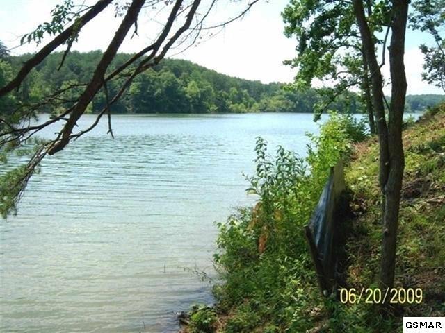 Lot 4 Sanctuary Shores Way - Photo 1