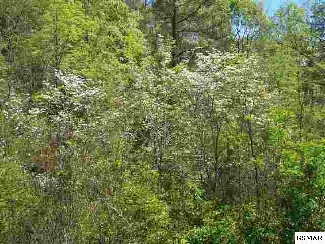 00 Showplace Blvd - Photo 1