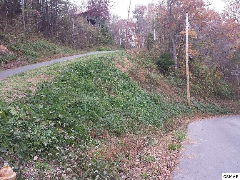 Lot 14 Woodland Dr - Photo 1