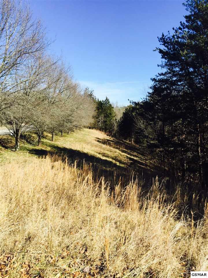 Lot 12 Hopson Street - Photo 1