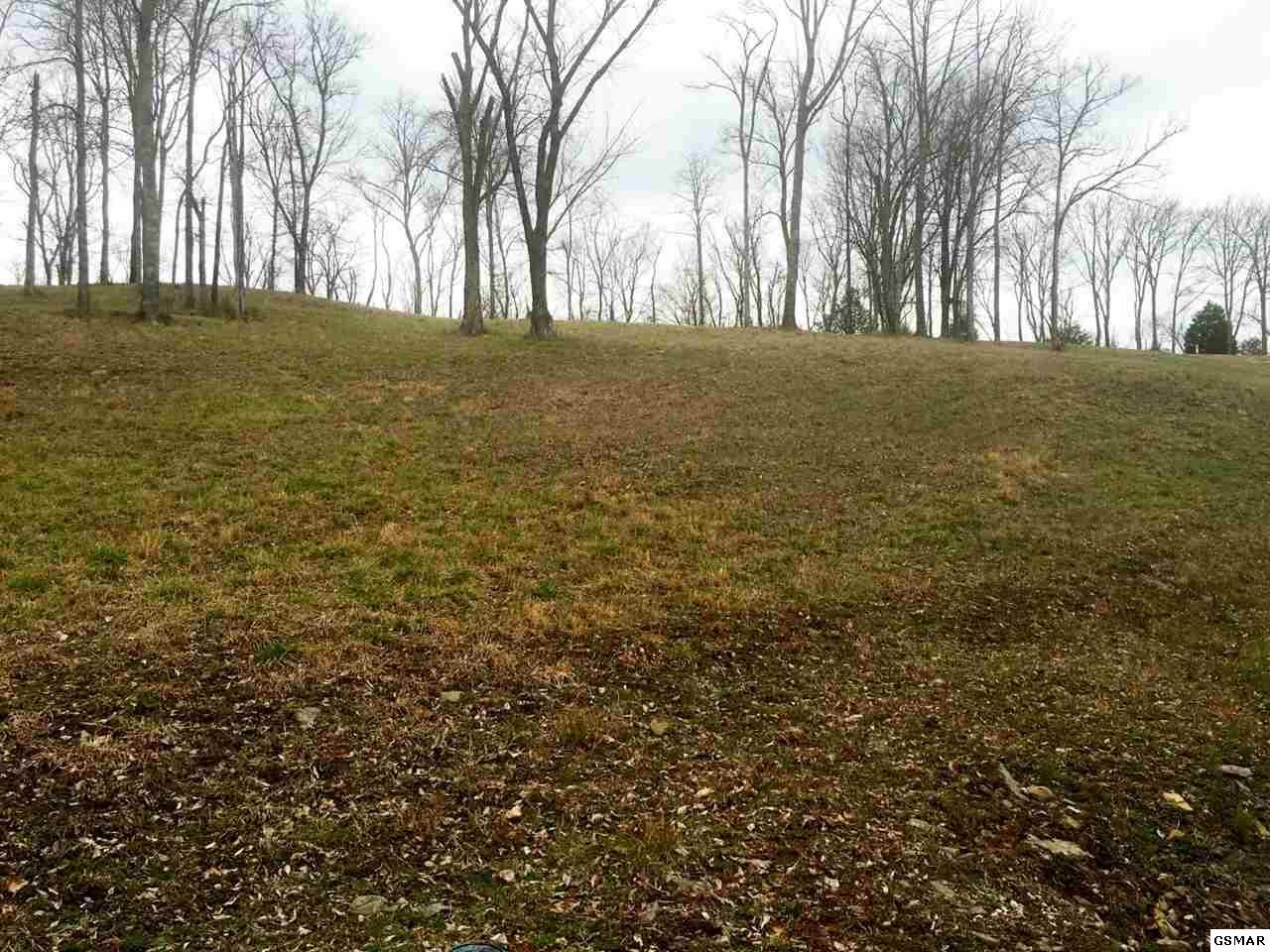 Lot 20R Lakeshore Way - Photo 1