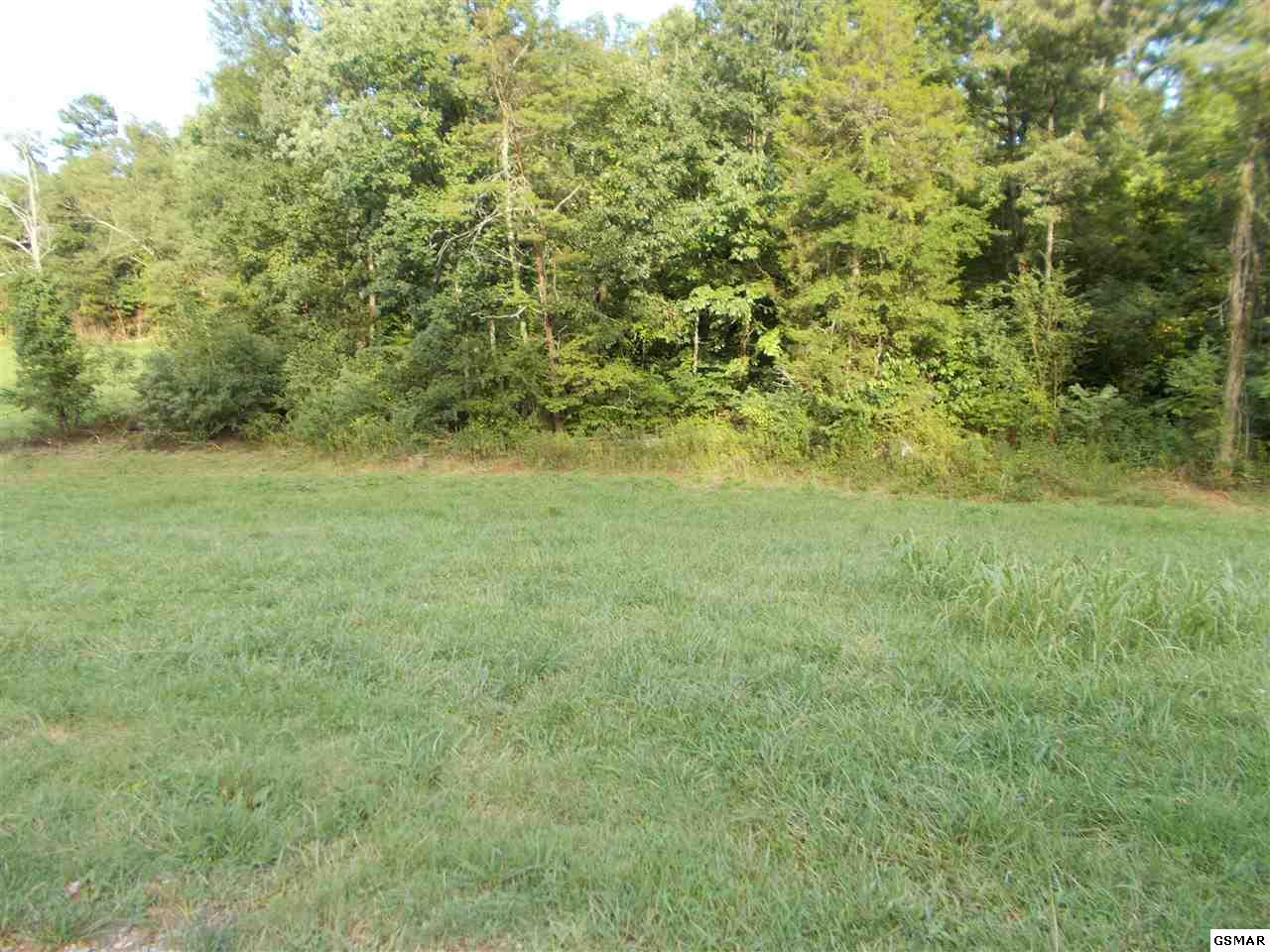 Parcel 048.04 Lakota Way - Photo 1