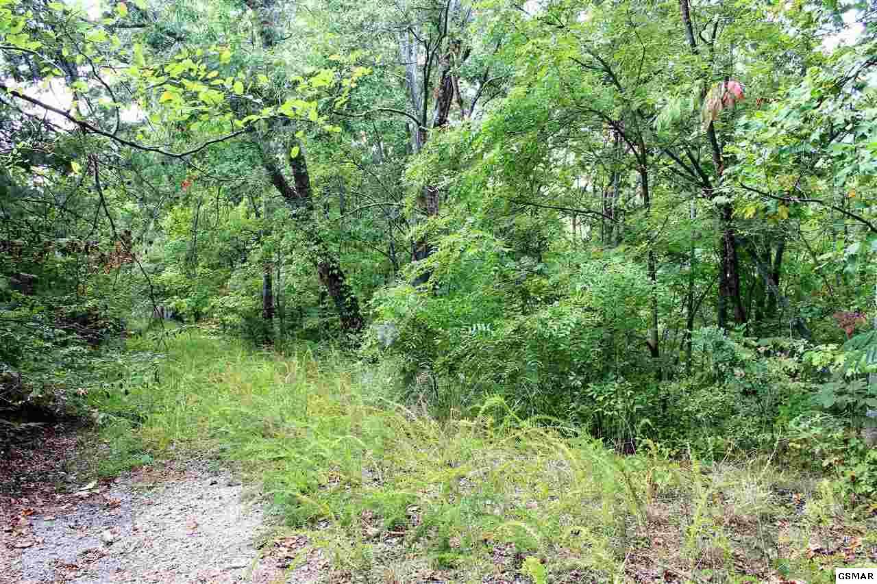 503 Overlook Court - Photo 1