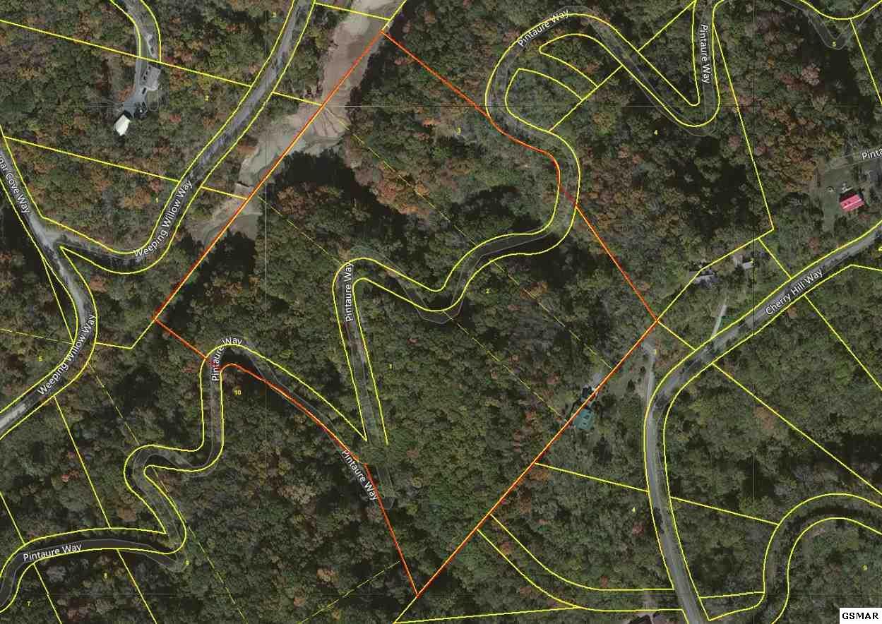 Lot 1 Pintaure Way - Photo 1