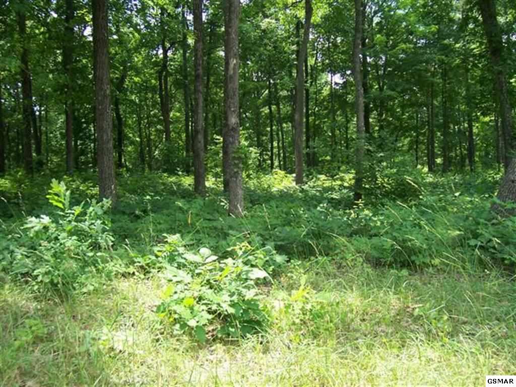 Lot 24 Tom Patterson Trail - Photo 1