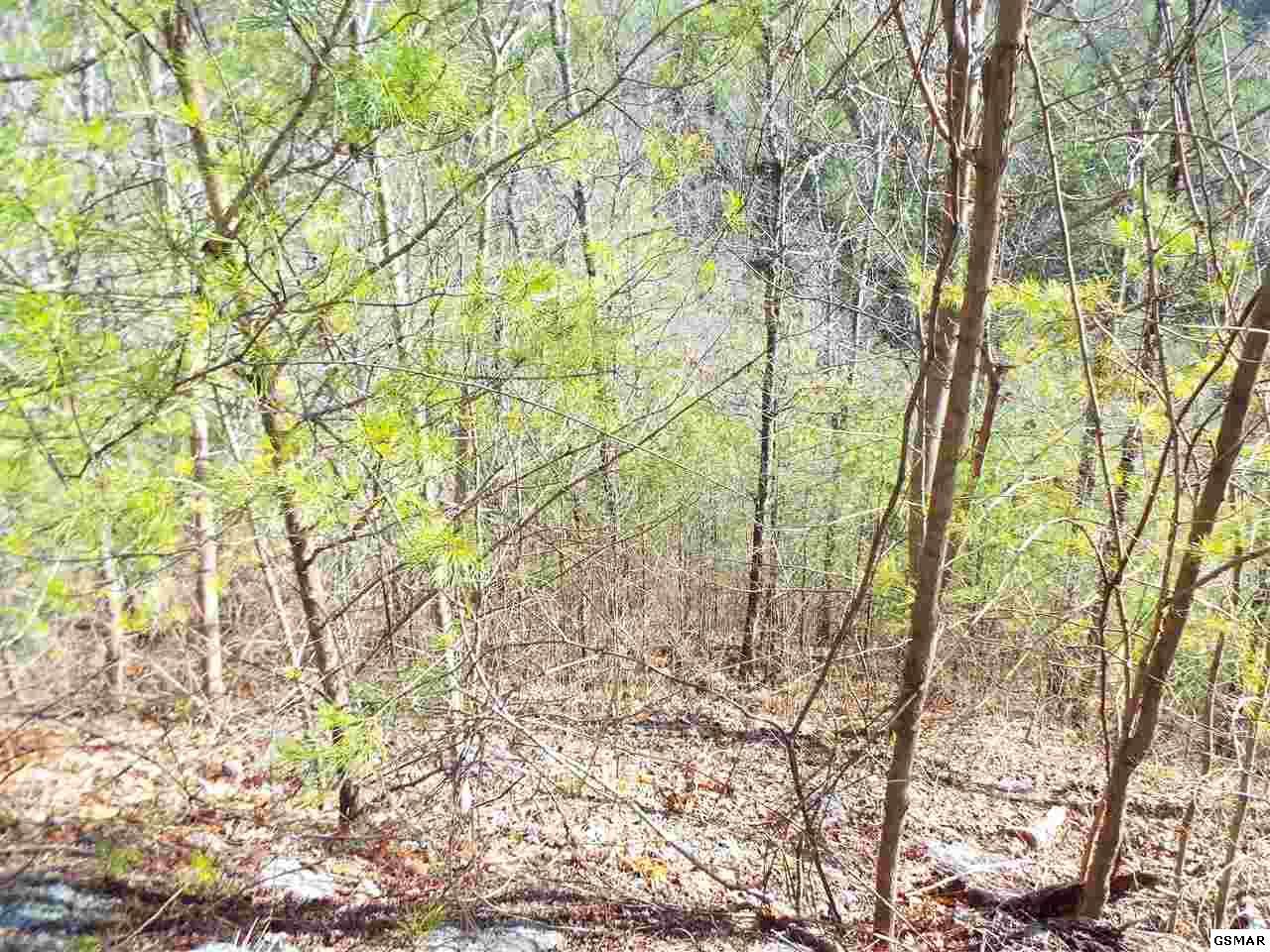 Lot 97E Black Powder Lane - Photo 1