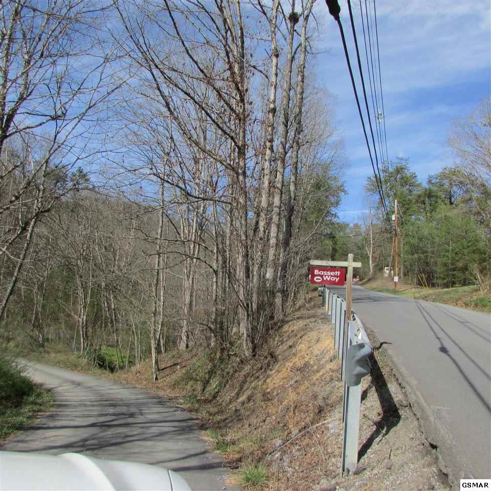 Walker Trail - Photo 1