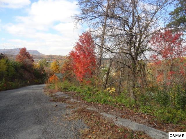 429 Silver Stone Way - Photo 1