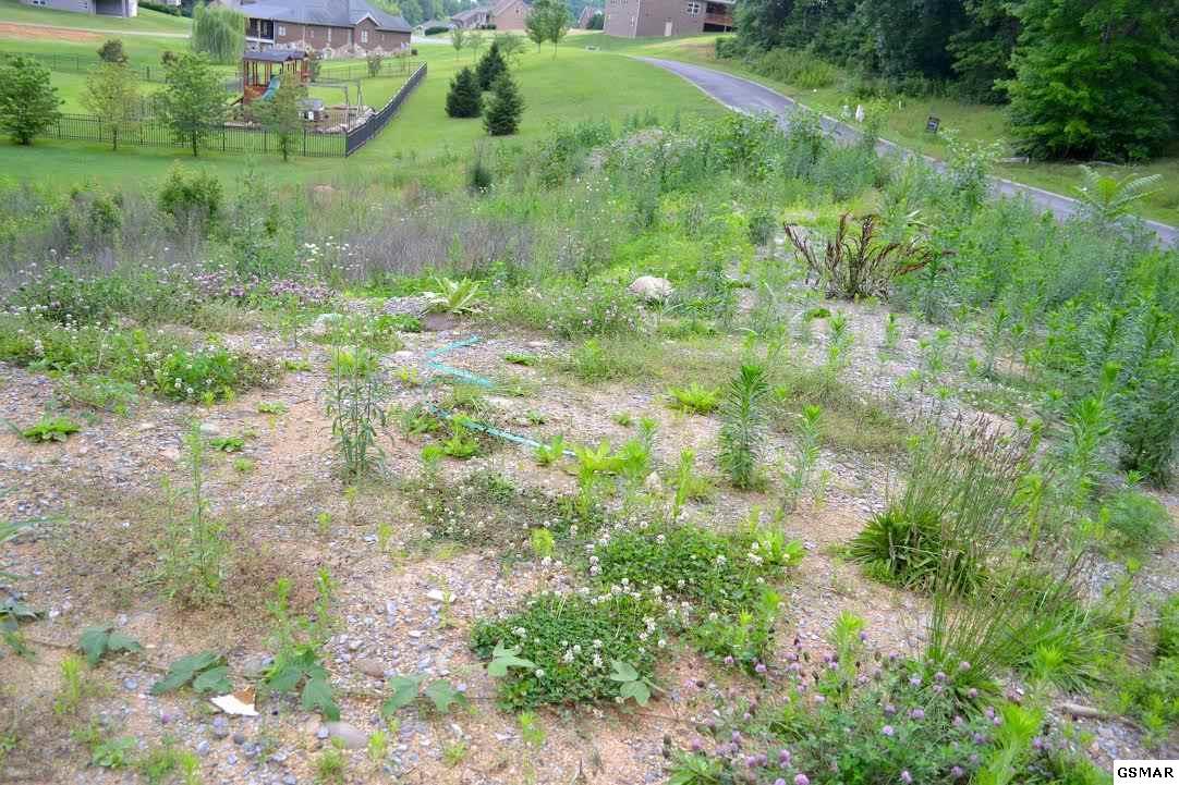LOT 65 Sierra Ln - Photo 1