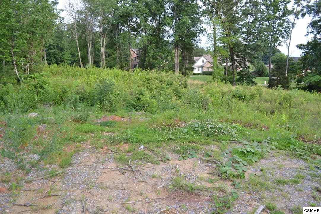 LOT 67 Sierra Ln - Photo 1