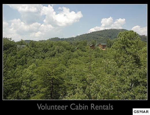2620 Oliver James Way - Photo 1