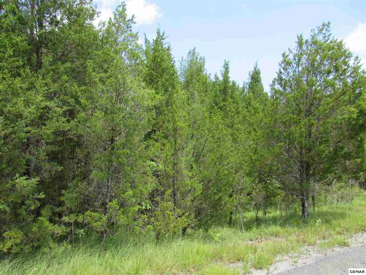Lot 48 Driftwood Circle - Photo 1