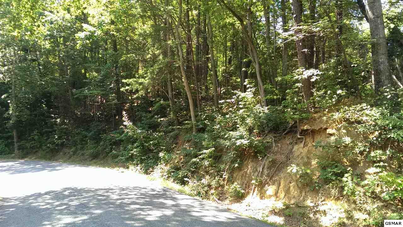 Heiden Dr. - Photo 1