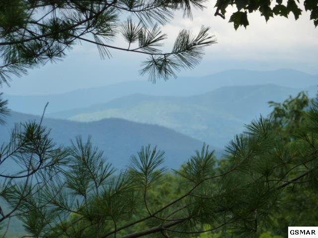 Lt. 94W Long Rifle Rd. - Photo 1
