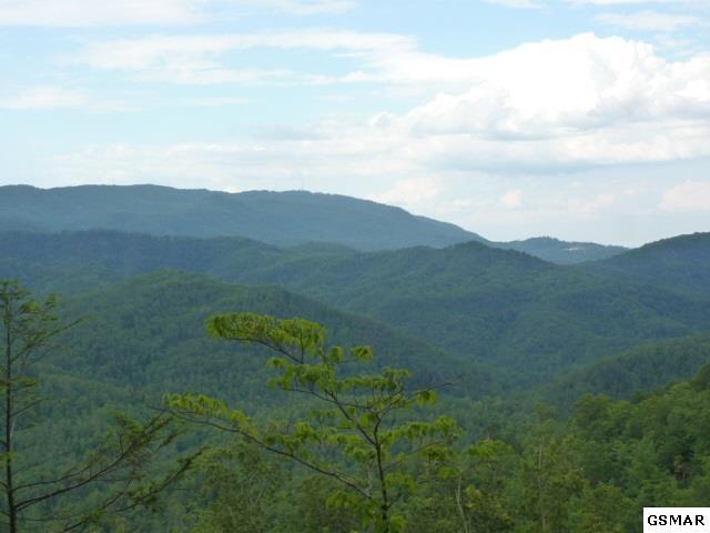 5015 Long Rifle Rd. - Photo 1