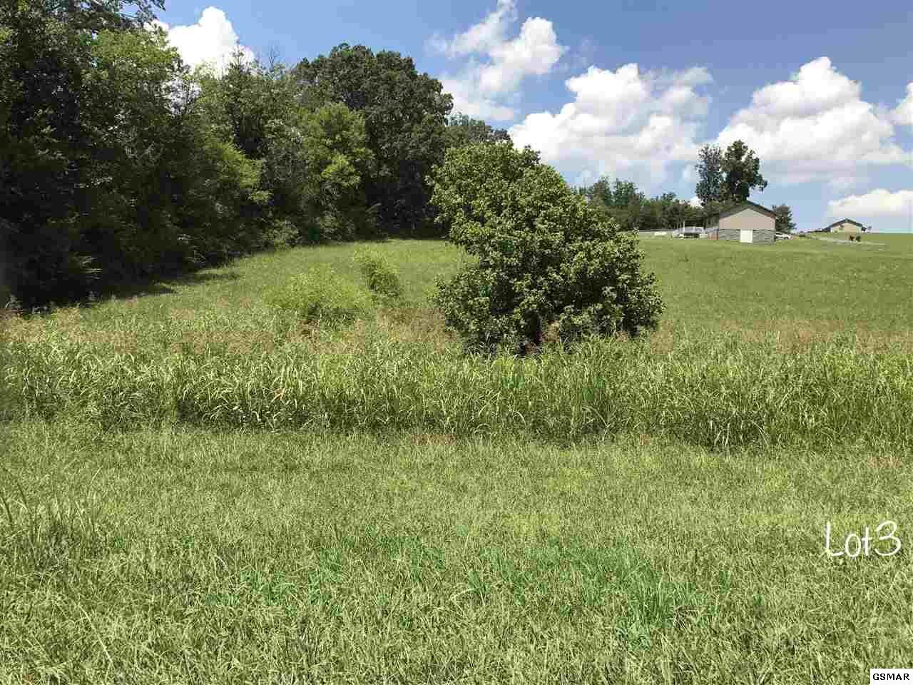 Oneil RD Lot 3 - Photo 1
