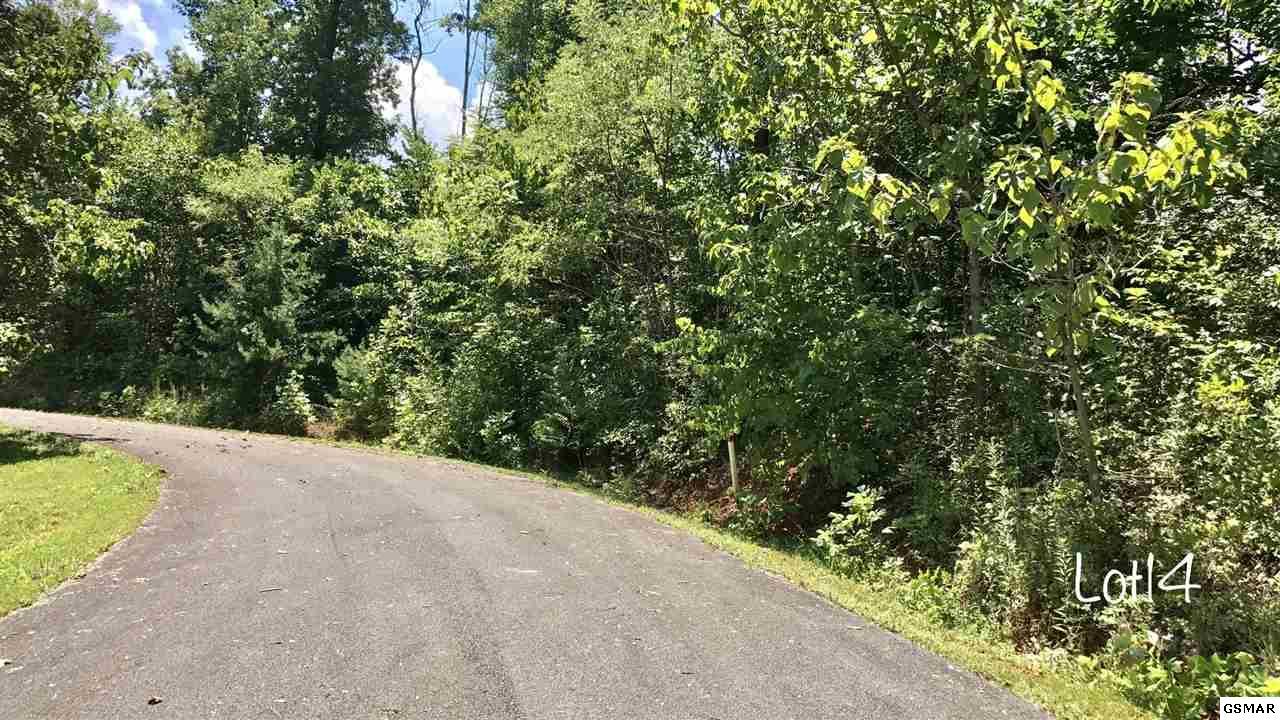 Oneil Rd Lot 14 - Photo 1