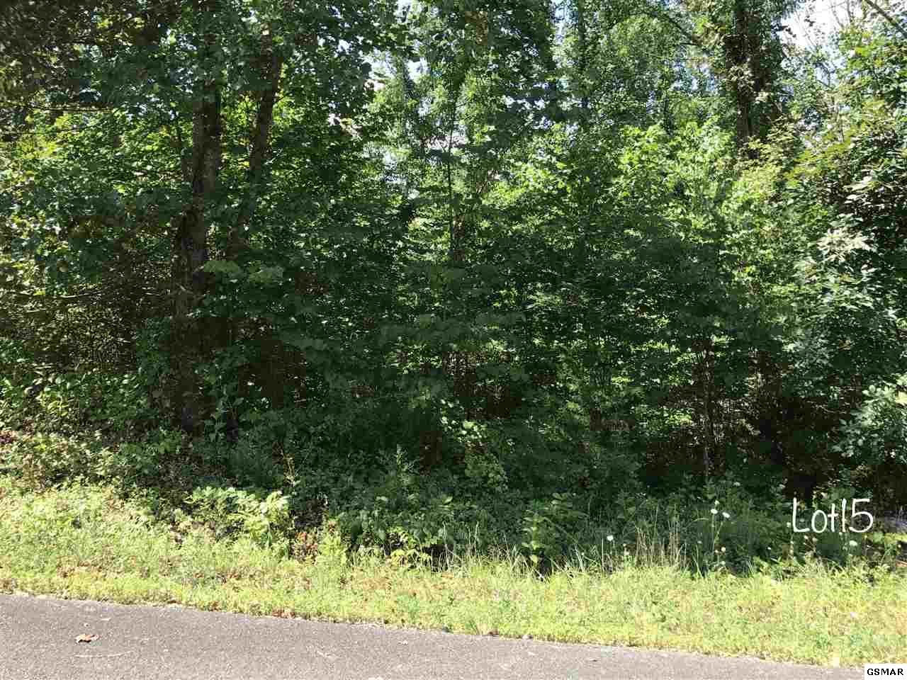 Oneil Rd Lot 15 - Photo 1