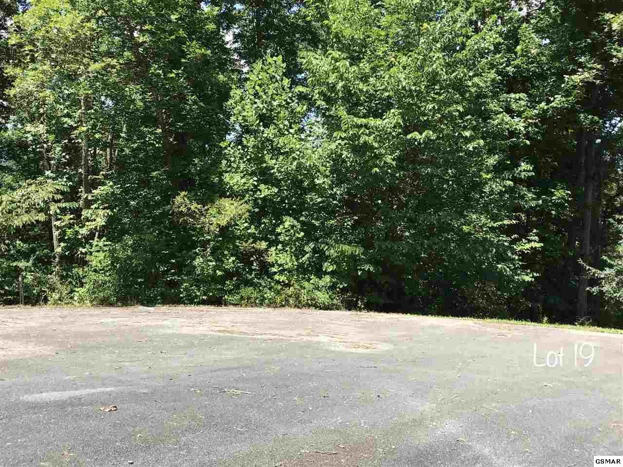 Oneil Rd Lot 19 - Photo 1