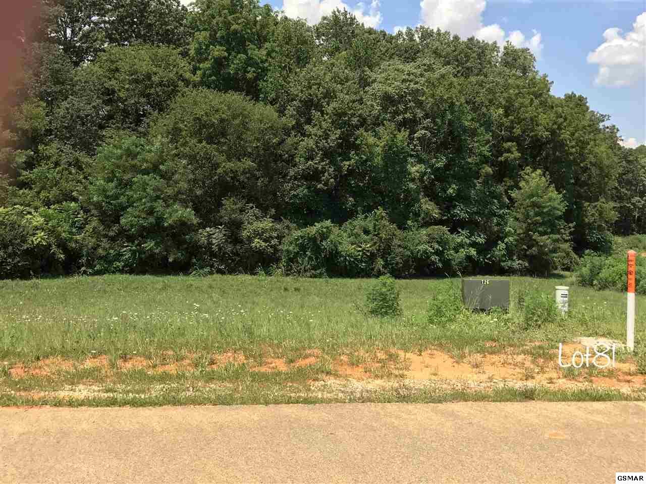 Oneil Rd Lot 81 - Photo 1