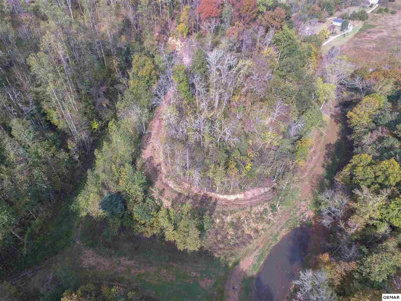 Happy Creek Road - Photo 1