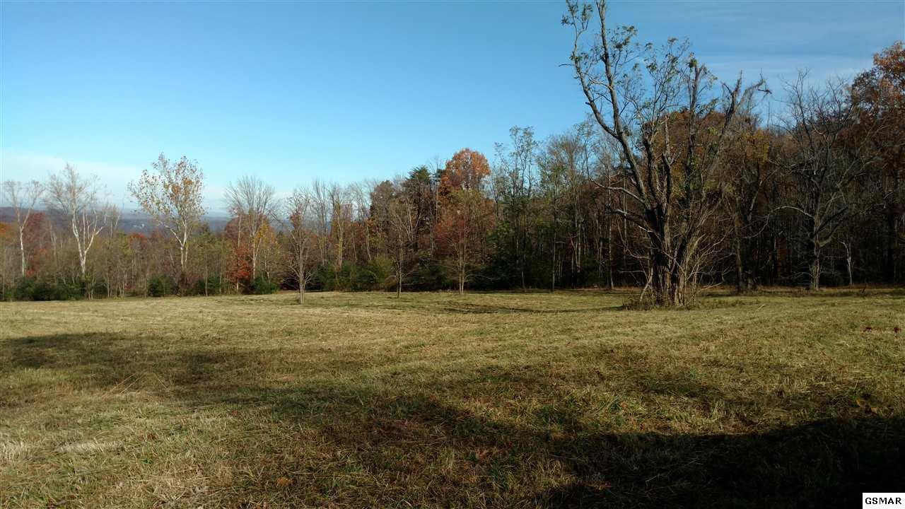 Lot 6 Hartsell Rd - Photo 1