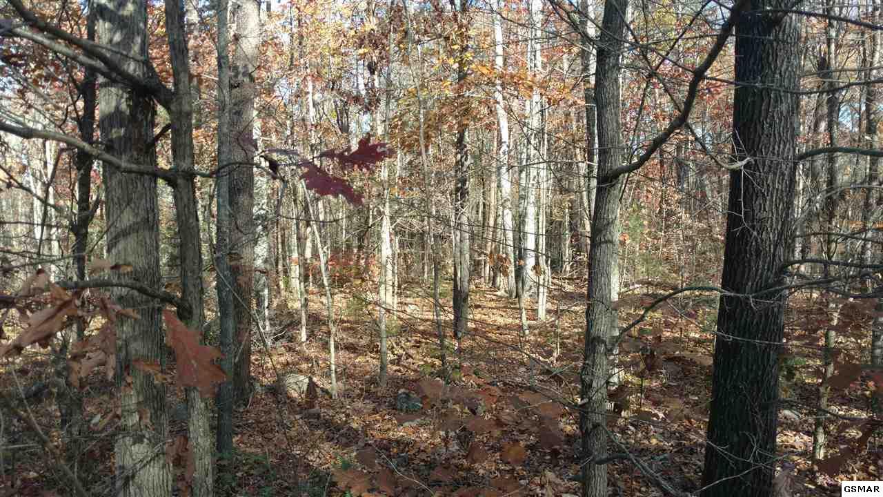 Lot 1 Critter Mountain Way - Photo 1