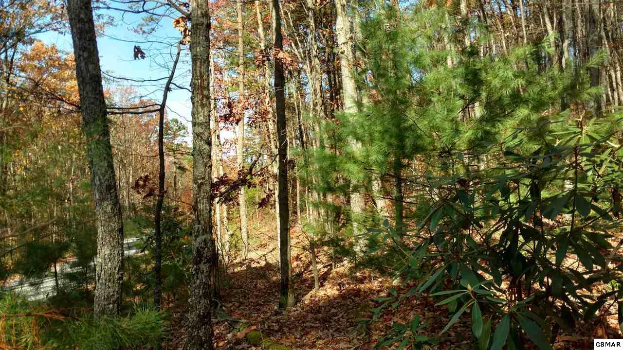 Lot 11 Critter Mtn Way - Photo 1