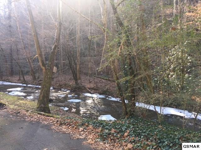 6.22 acres Oglewood Ln - Photo 1