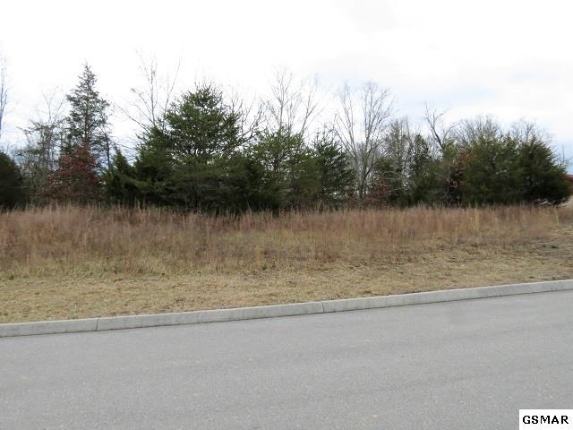 Lot 98 Blue Herring Way - Photo 1
